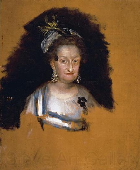 Francisco de Goya La infanta Josefa France oil painting art